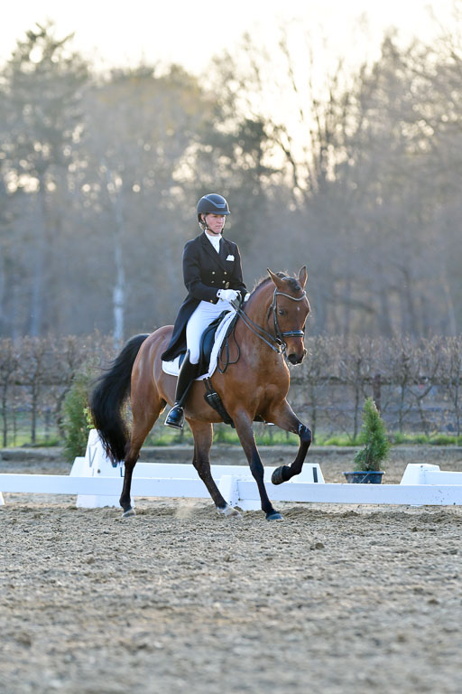 Reitsportzentrum Bremervörde | 170421 Dressur S+_349 