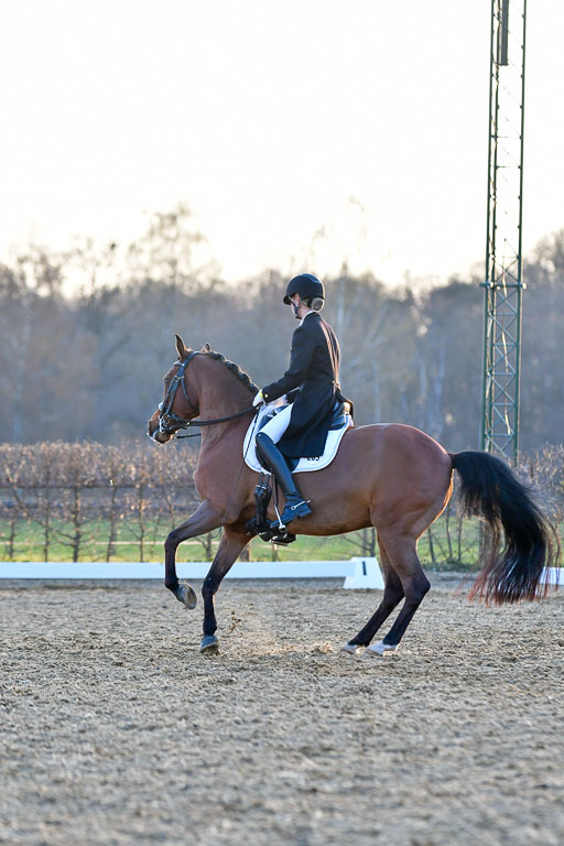 Reitsportzentrum Bremervörde | 170421 Dressur S+_353 