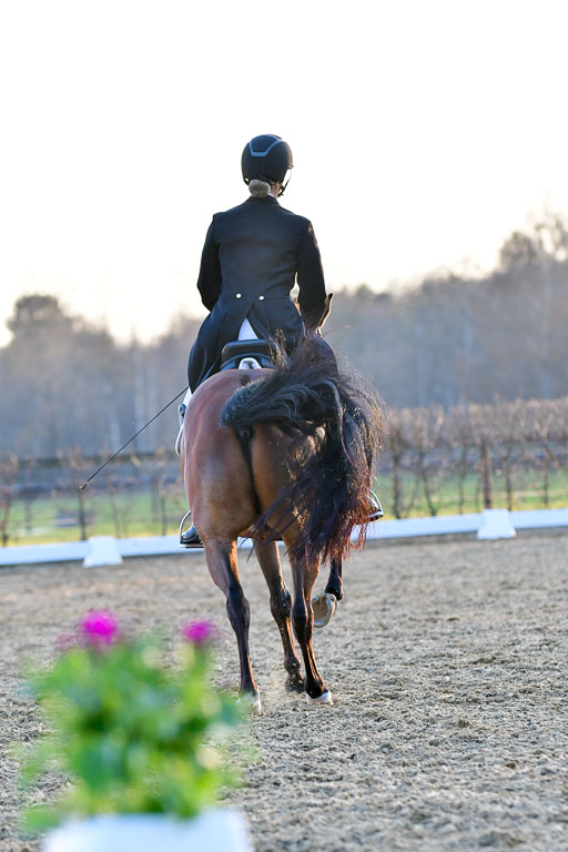 Reitsportzentrum Bremervörde | 170421 Dressur S+_358 