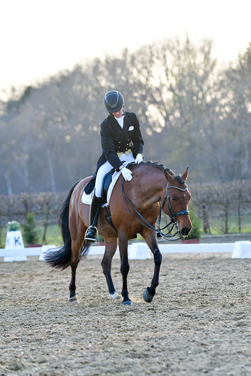 Reitsportzentrum Bremervörde | 170421 Dressur S+_360 