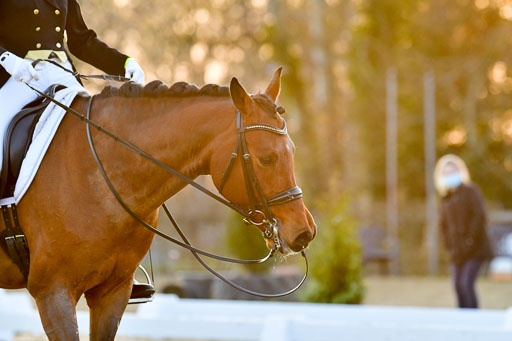 Reitsportzentrum Bremervörde | 170421 Dressur S+_361 