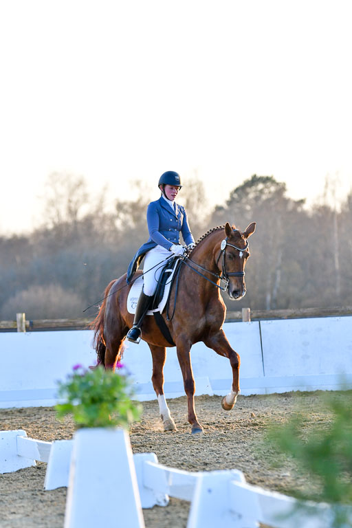 Reitsportzentrum Bremervörde | 170421 Dressur S+_362 