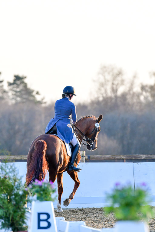 Reitsportzentrum Bremervörde | 170421 Dressur S+_363 