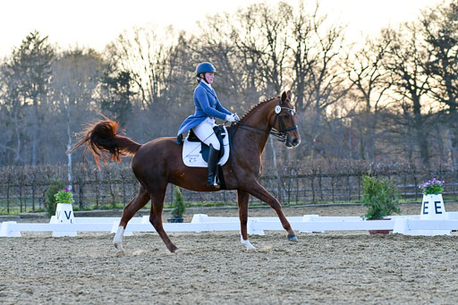 Reitsportzentrum Bremervörde | 170421 Dressur S+_375 