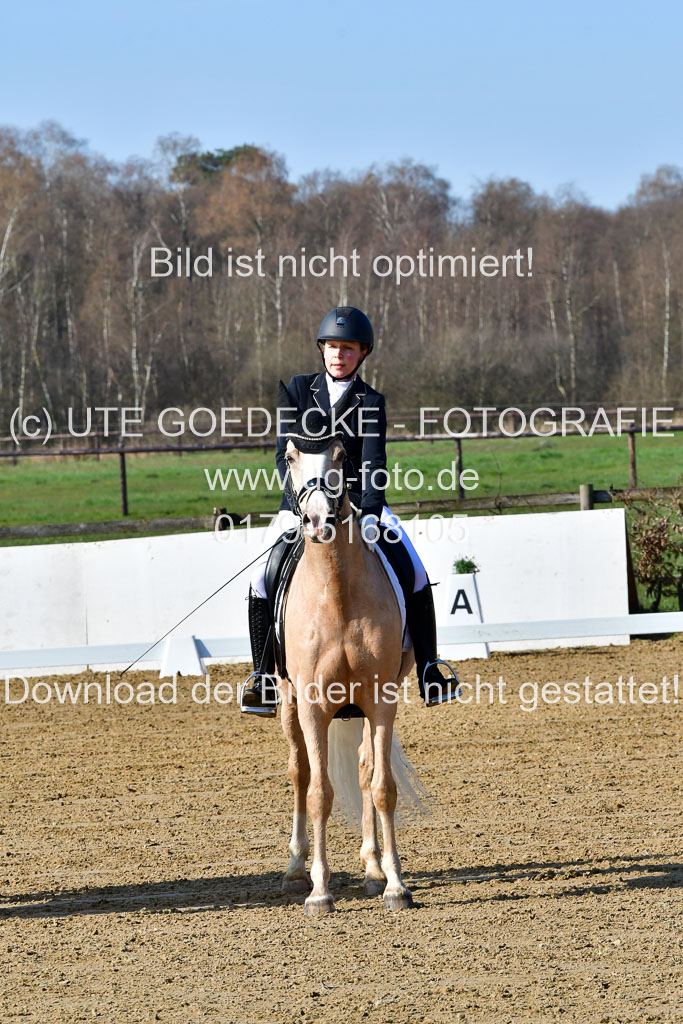 Reitsportzentrum Bremervörde | 160421 Dressurpf A_001