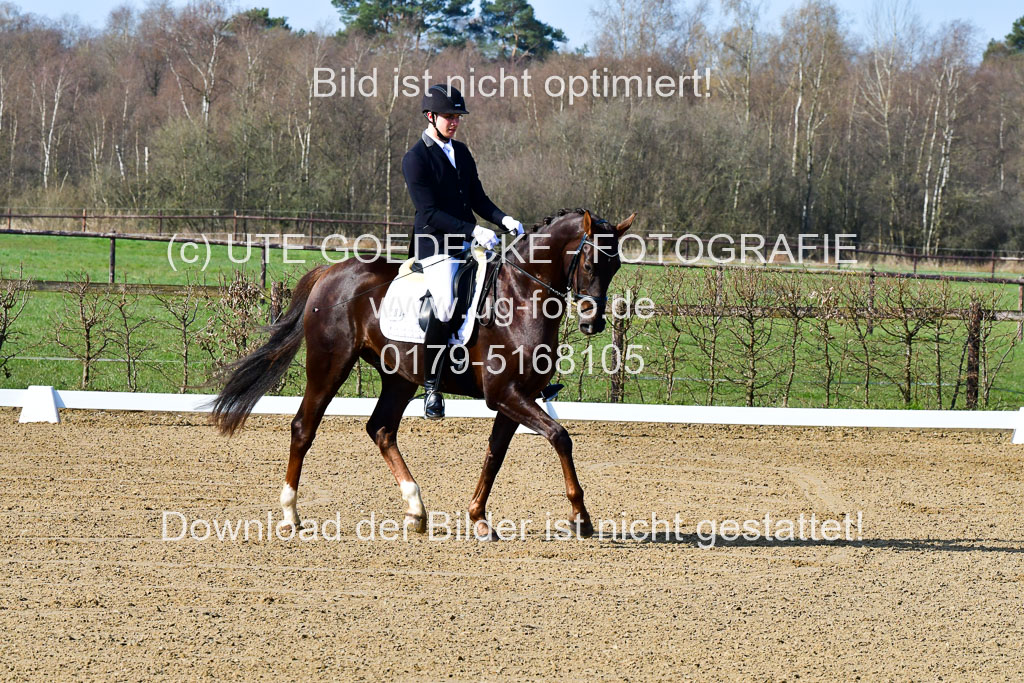Reitsportzentrum Bremervörde | 160421 Dressurpf A_003