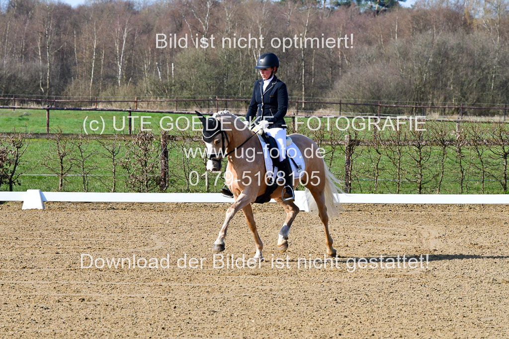 Reitsportzentrum Bremervörde | 160421 Dressurpf A_006