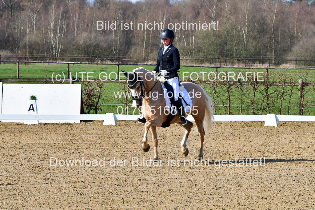 Reitsportzentrum Bremervörde | 160421 Dressurpf A_007