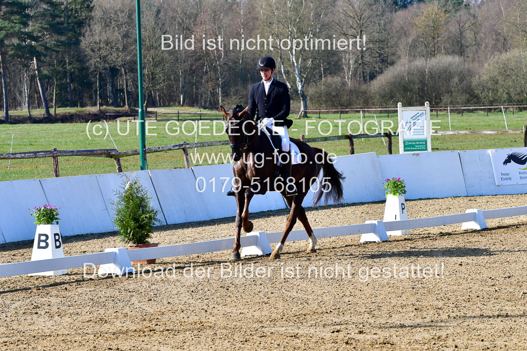 Reitsportzentrum Bremervörde | 160421 Dressurpf A_010