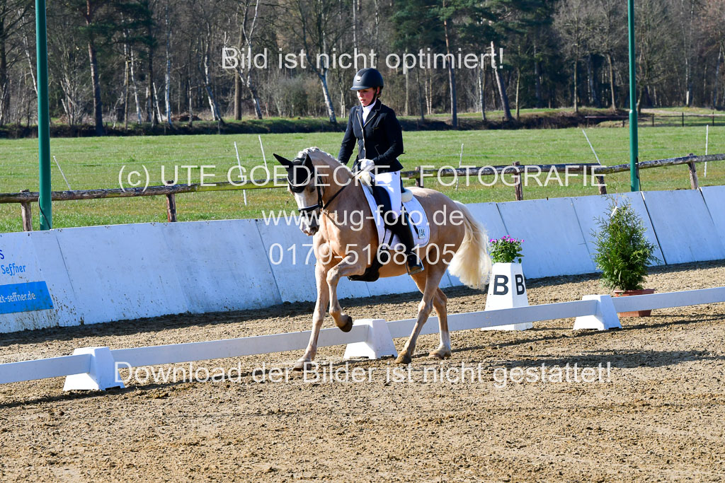Reitsportzentrum Bremervörde | 160421 Dressurpf A_013