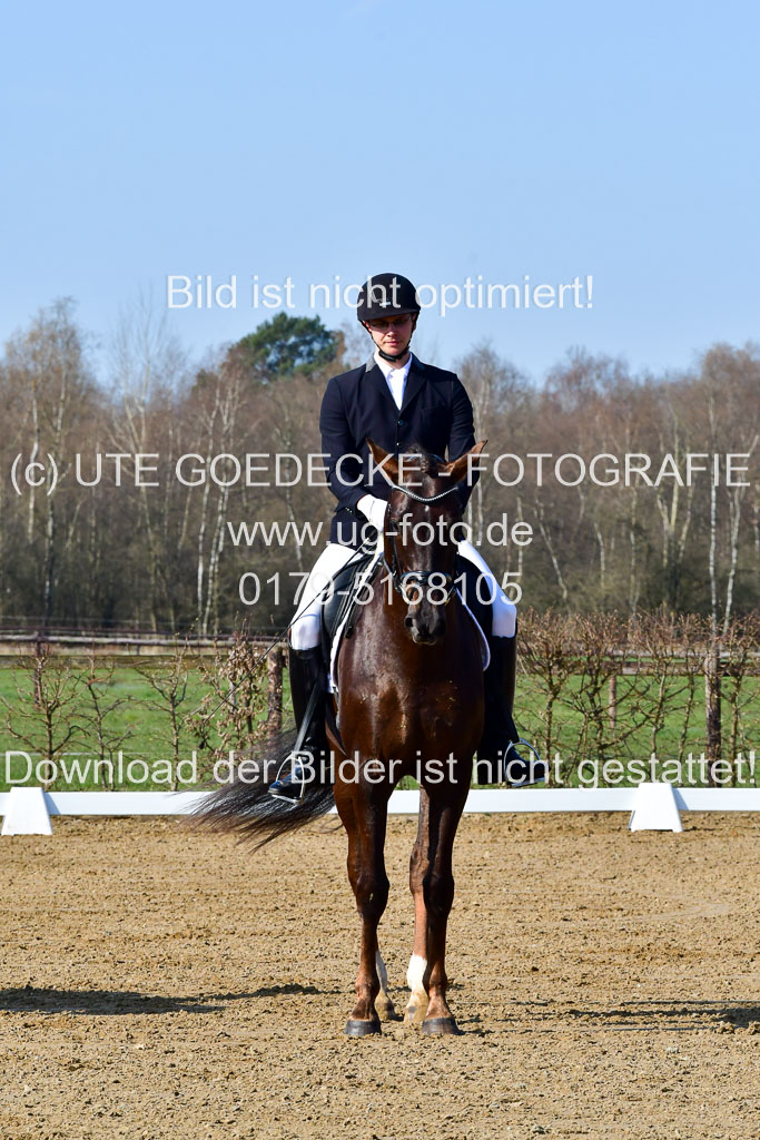 Reitsportzentrum Bremervörde | 160421 Dressurpf A_014