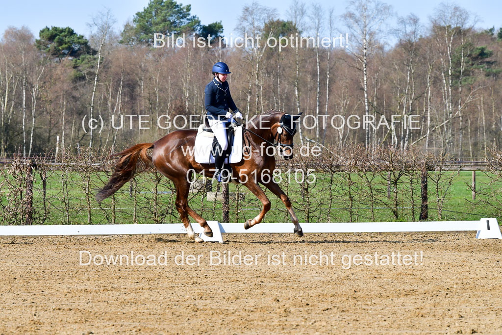 Reitsportzentrum Bremervörde | 160421 Dressurpf A_021