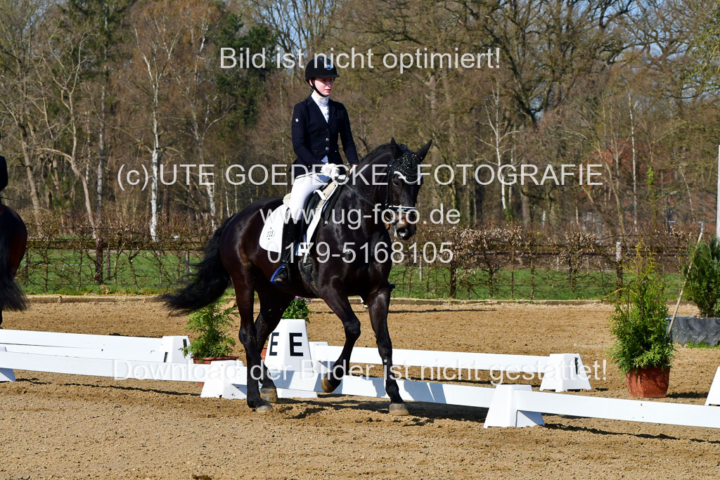 Reitsportzentrum Bremervörde | 160421 Dressurpf A_023