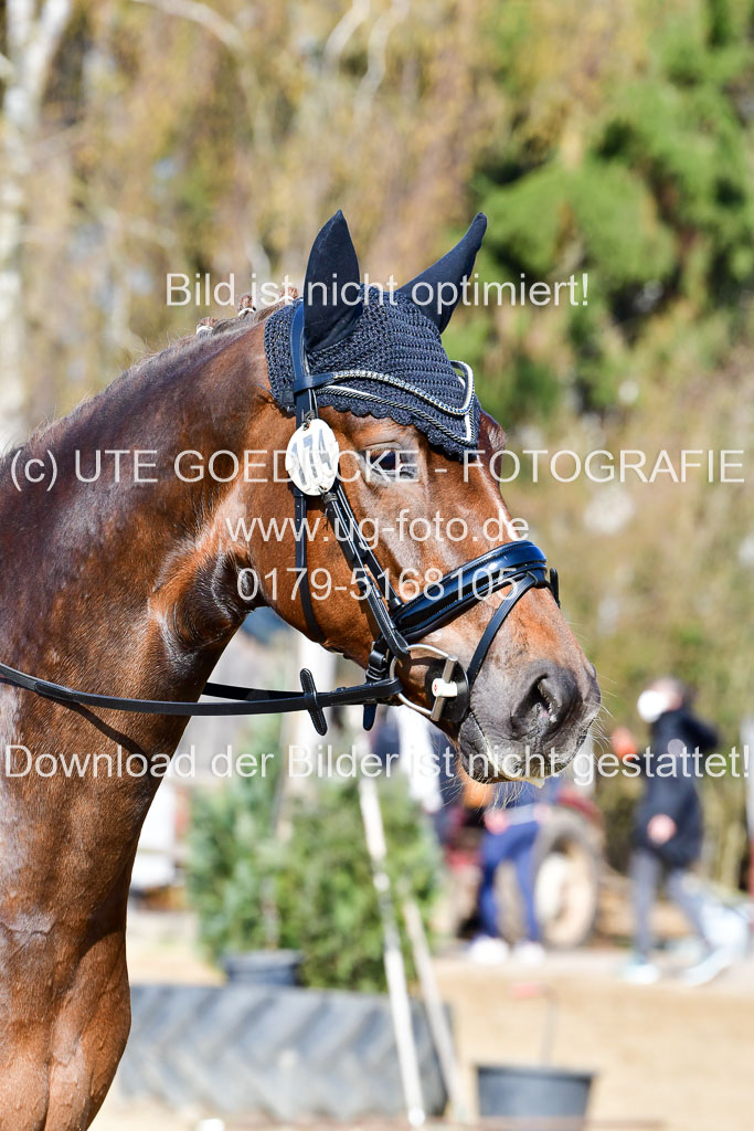 Reitsportzentrum Bremervörde | 160421 Dressurpf A_028
