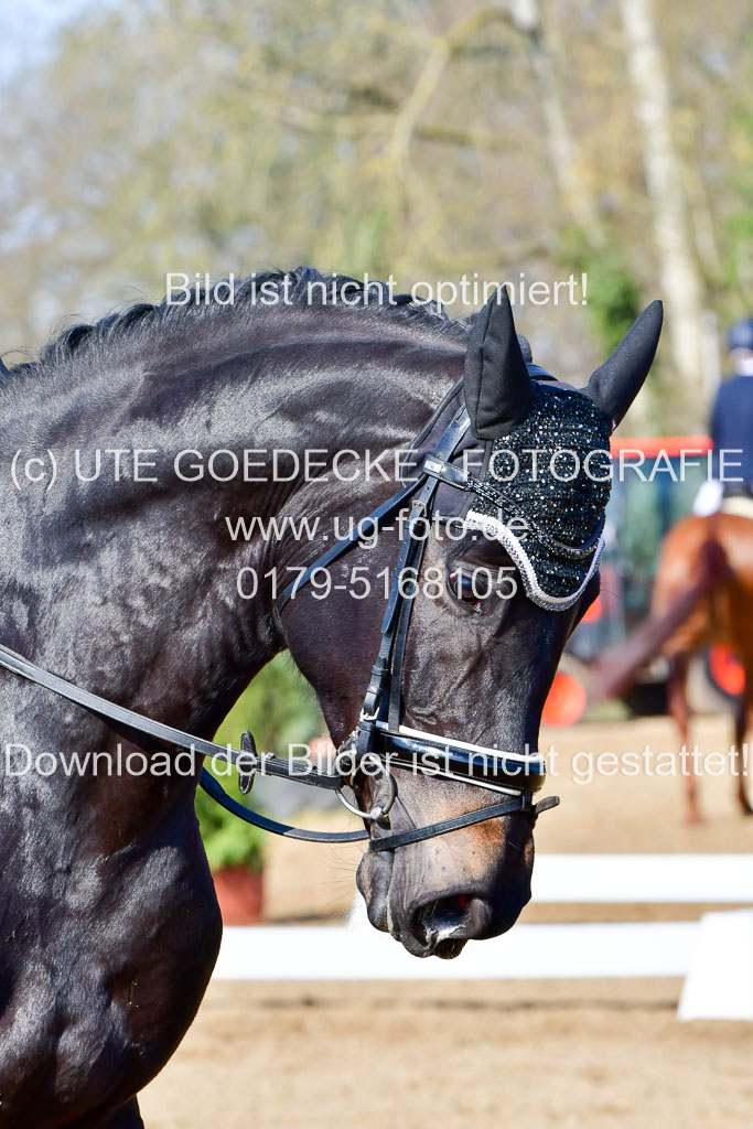 Reitsportzentrum Bremervörde | 160421 Dressurpf A_029
