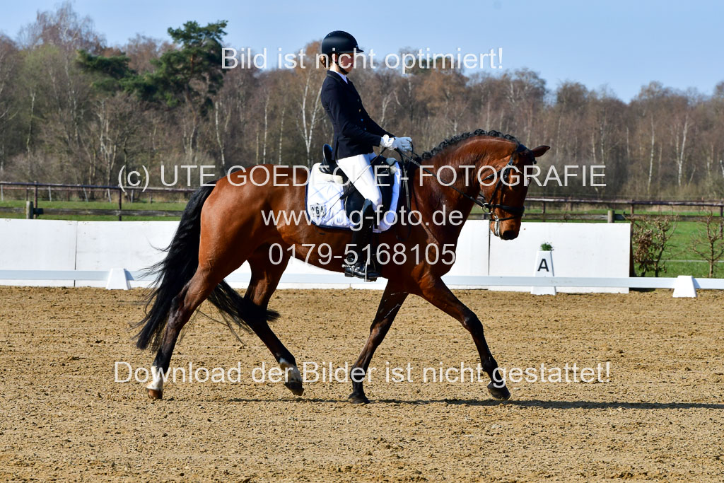 Reitsportzentrum Bremervörde | 160421 Dressurpf A_030
