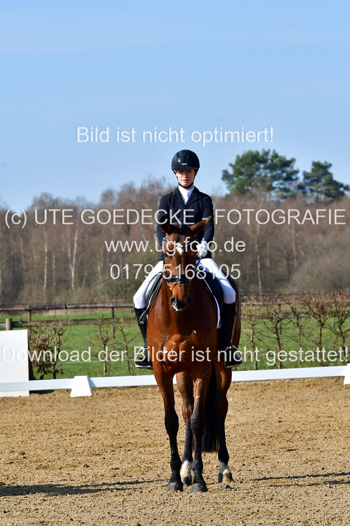 Reitsportzentrum Bremervörde | 160421 Dressurpf A_032