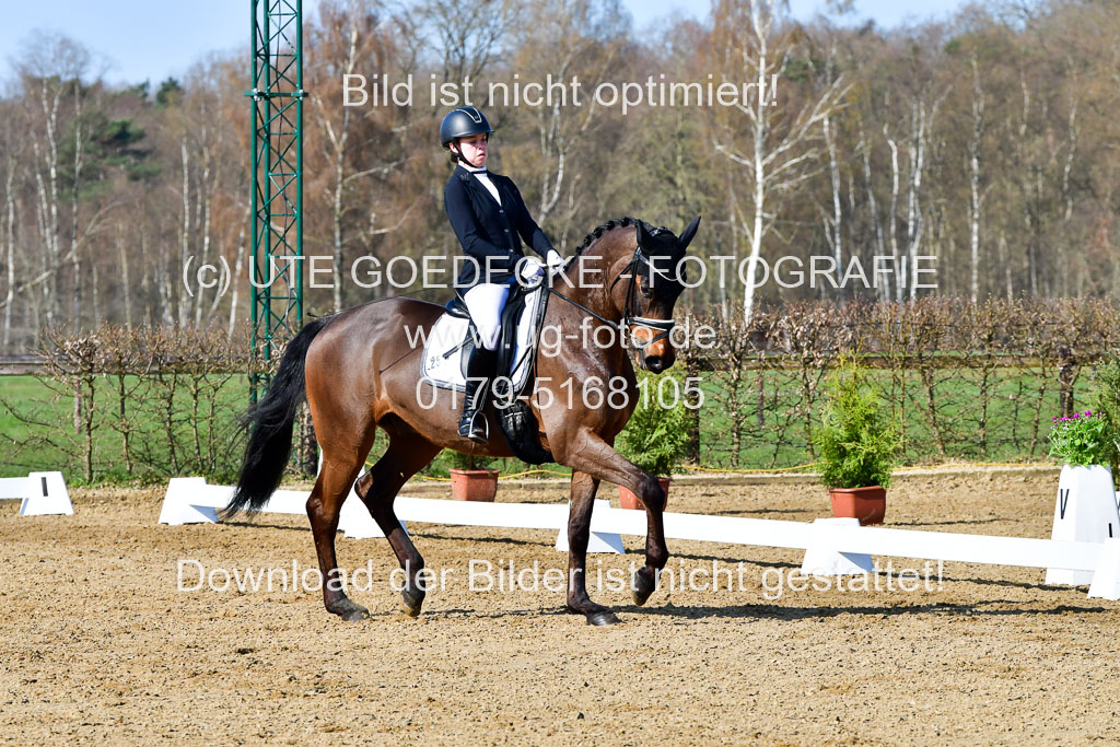 Reitsportzentrum Bremervörde | 160421 Dressurpf A_034