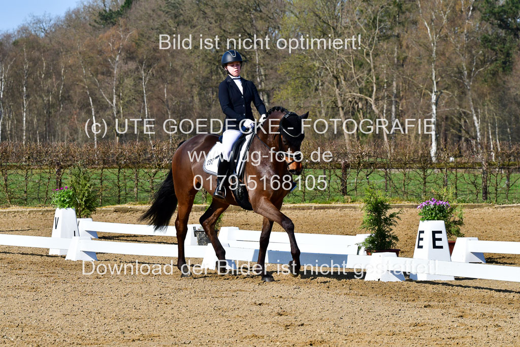 Reitsportzentrum Bremervörde | 160421 Dressurpf A_035