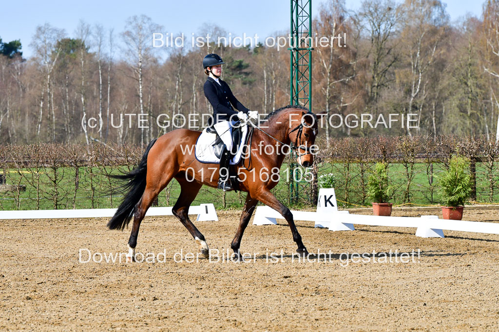 Reitsportzentrum Bremervörde | 160421 Dressurpf A_036