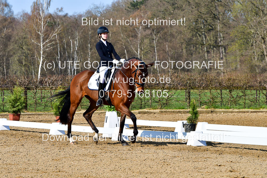 Reitsportzentrum Bremervörde | 160421 Dressurpf A_037