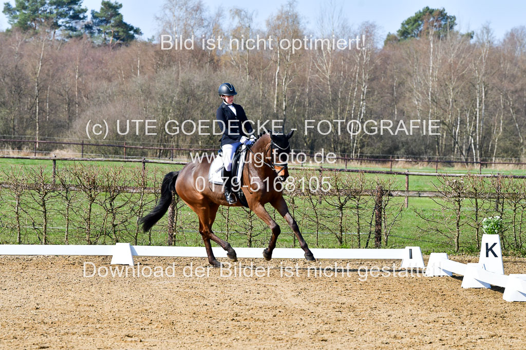 Reitsportzentrum Bremervörde | 160421 Dressurpf A_044