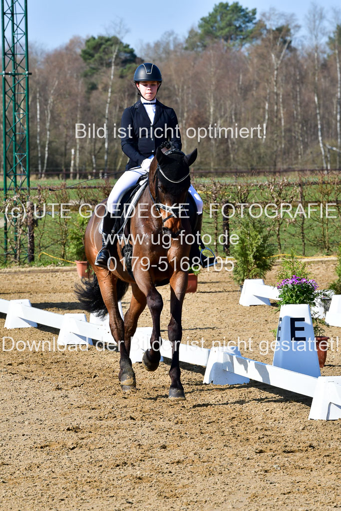 Reitsportzentrum Bremervörde | 160421 Dressurpf A_045