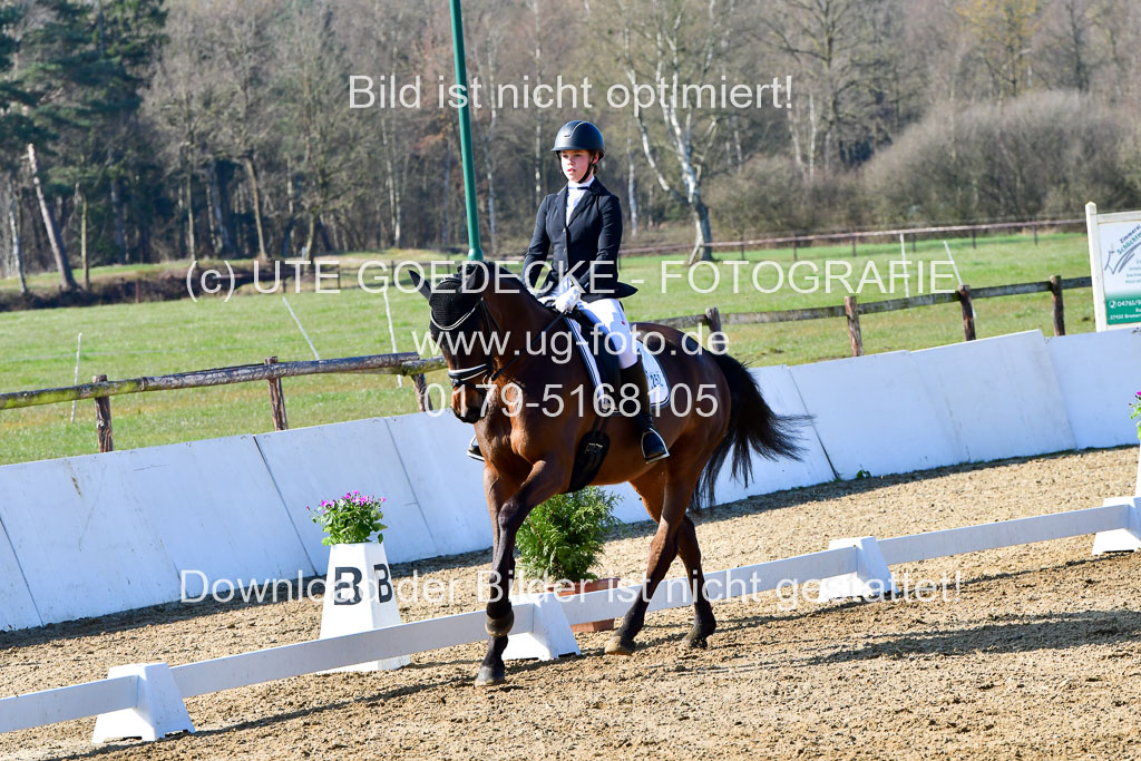 Reitsportzentrum Bremervörde | 160421 Dressurpf A_049