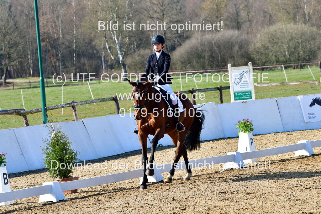 Reitsportzentrum Bremervörde | 160421 Dressurpf A_050