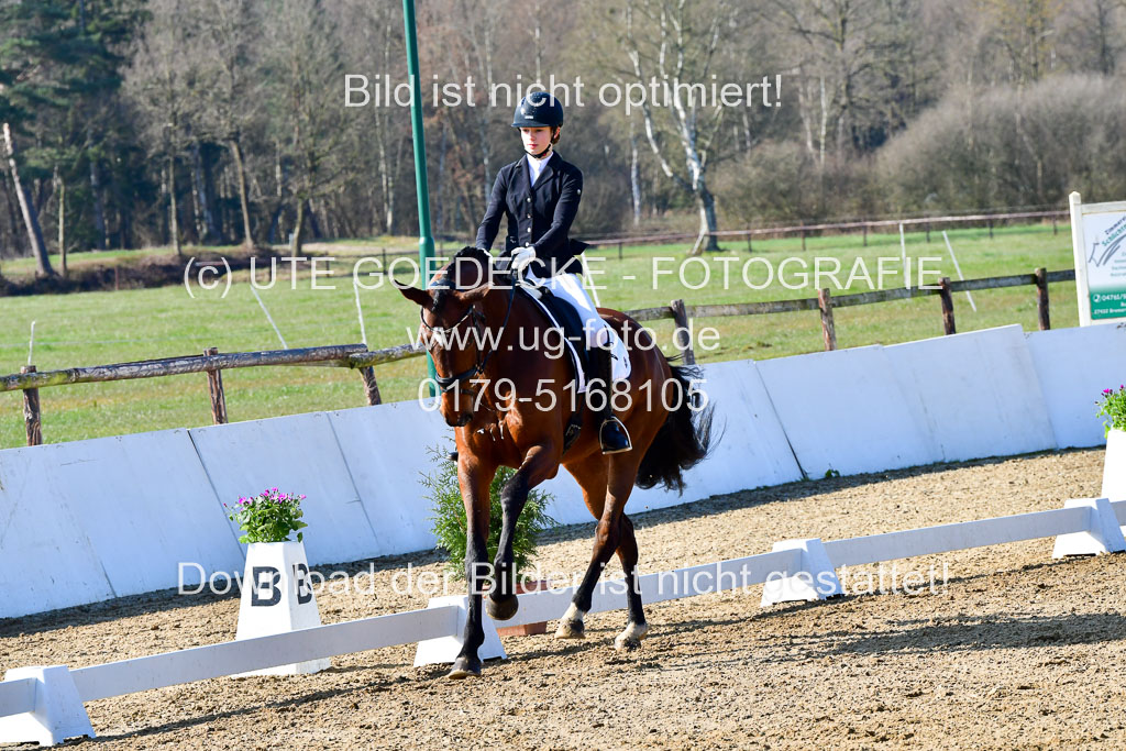 Reitsportzentrum Bremervörde | 160421 Dressurpf A_051