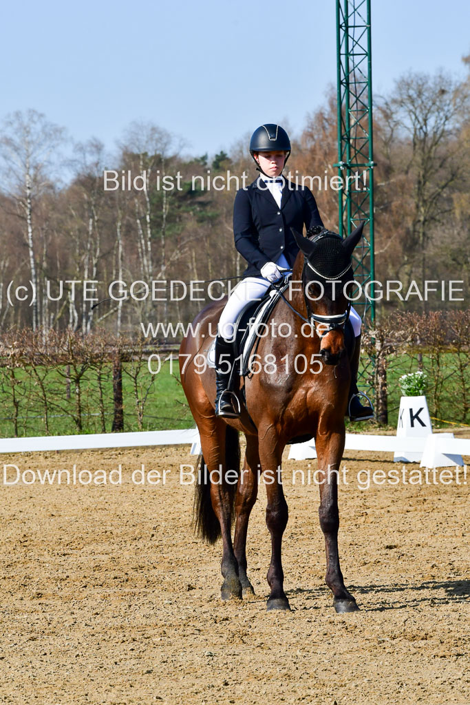 Reitsportzentrum Bremervörde | 160421 Dressurpf A_052