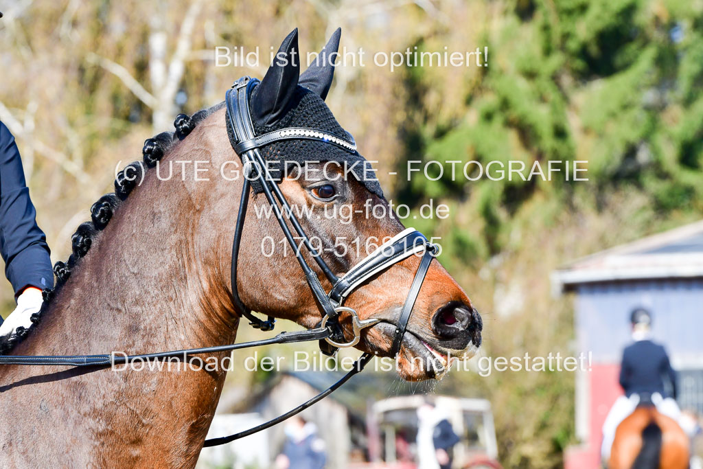 Reitsportzentrum Bremervörde | 160421 Dressurpf A_053