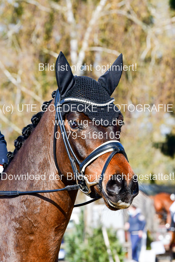 Reitsportzentrum Bremervörde | 160421 Dressurpf A_054