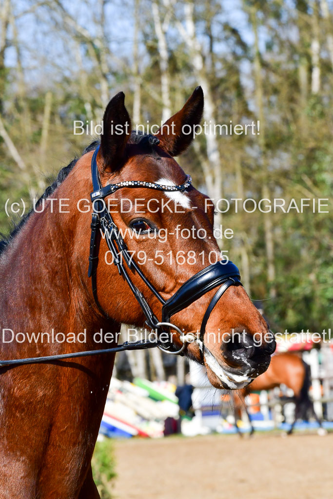 Reitsportzentrum Bremervörde | 160421 Dressurpf A_055