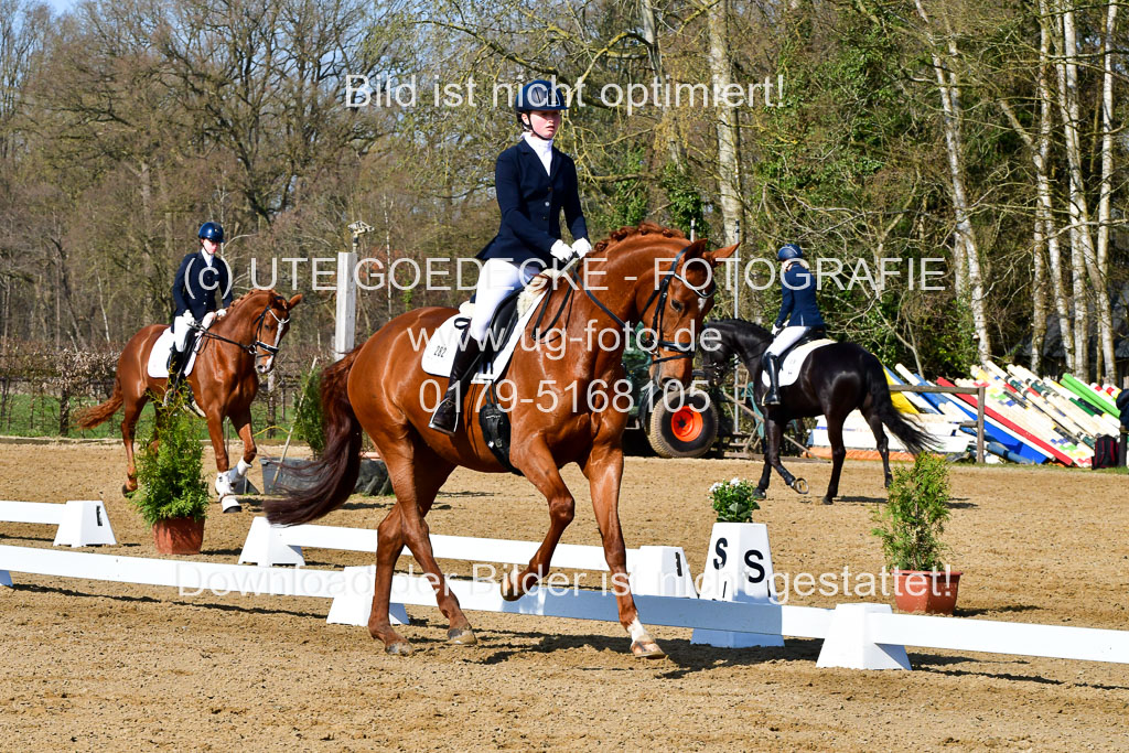 Reitsportzentrum Bremervörde | 160421 Dressurpf A_059