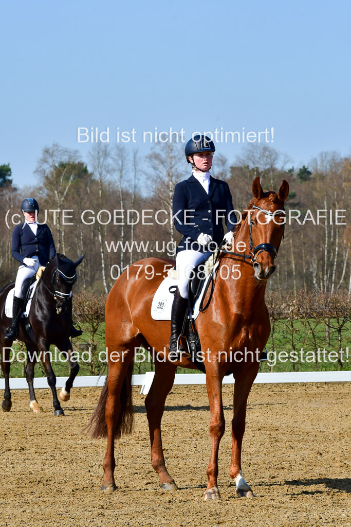 Reitsportzentrum Bremervörde | 160421 Dressurpf A_060