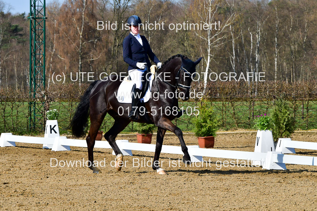 Reitsportzentrum Bremervörde | 160421 Dressurpf A_067