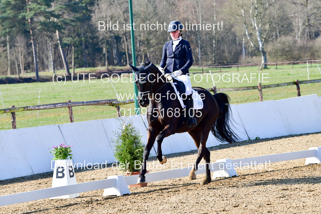 Reitsportzentrum Bremervörde | 160421 Dressurpf A_074