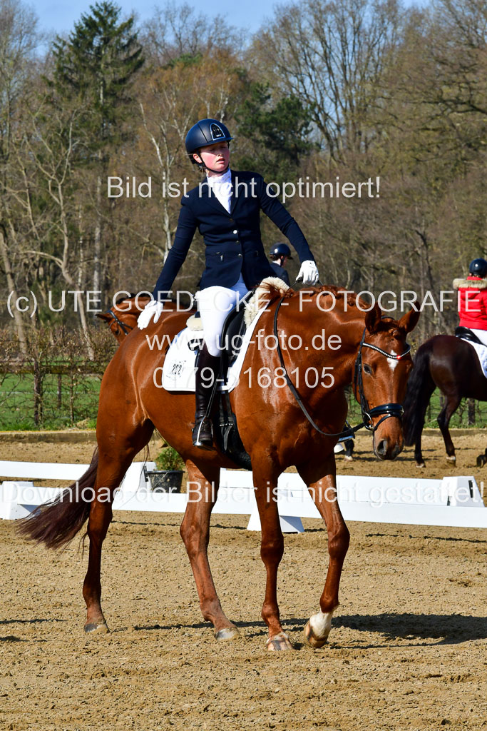 Reitsportzentrum Bremervörde | 160421 Dressurpf A_078