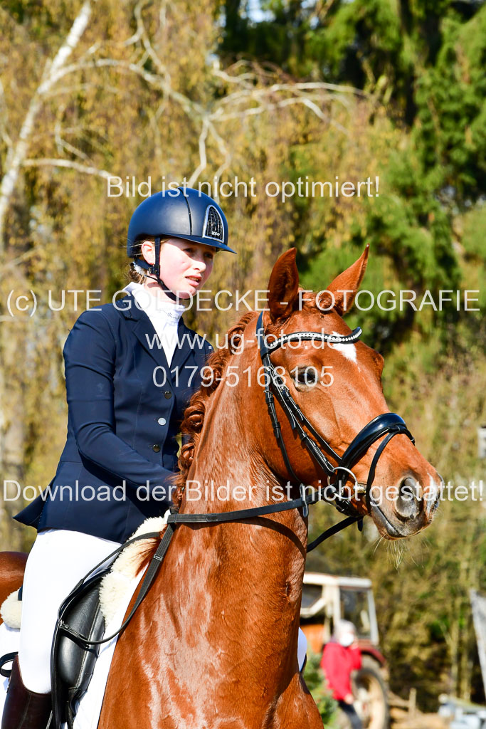 Reitsportzentrum Bremervörde | 160421 Dressurpf A_080