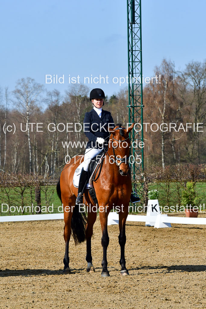 Reitsportzentrum Bremervörde | 160421 Dressurpf A_082