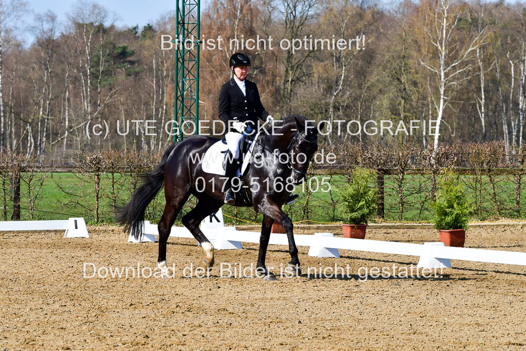 Reitsportzentrum Bremervörde | 160421 Dressurpf A_087