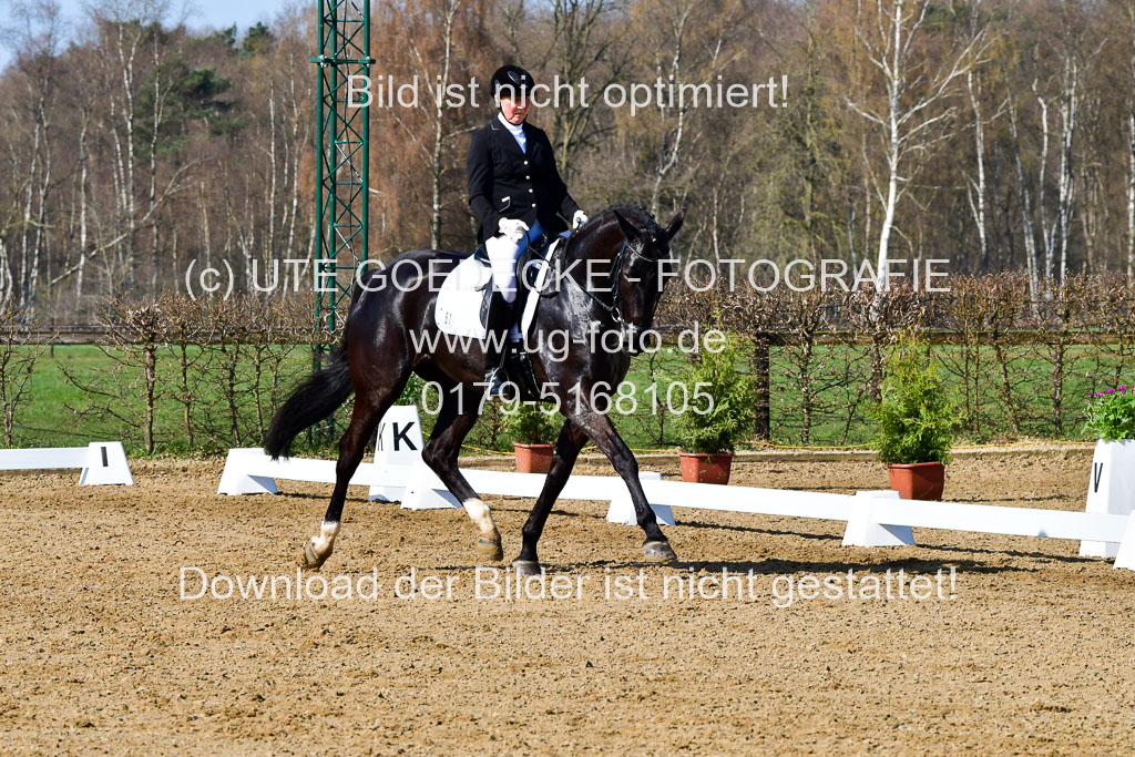 Reitsportzentrum Bremervörde | 160421 Dressurpf A_088