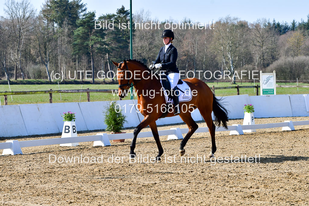 Reitsportzentrum Bremervörde | 160421 Dressurpf A_090