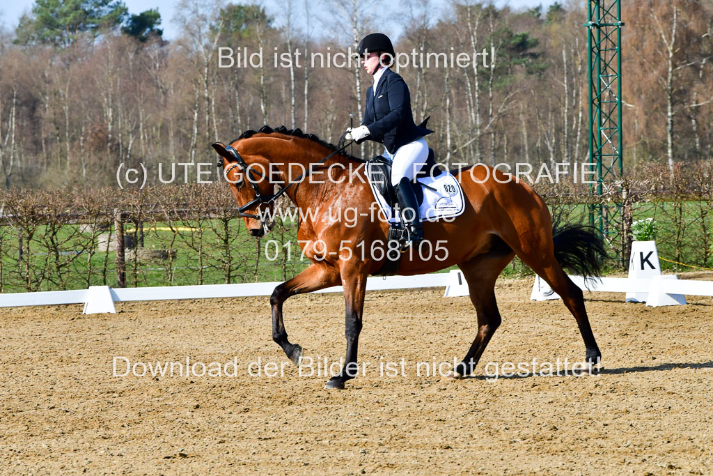 Reitsportzentrum Bremervörde | 160421 Dressurpf A_091