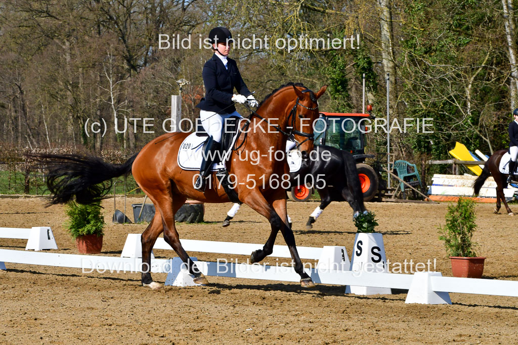 Reitsportzentrum Bremervörde | 160421 Dressurpf A_093