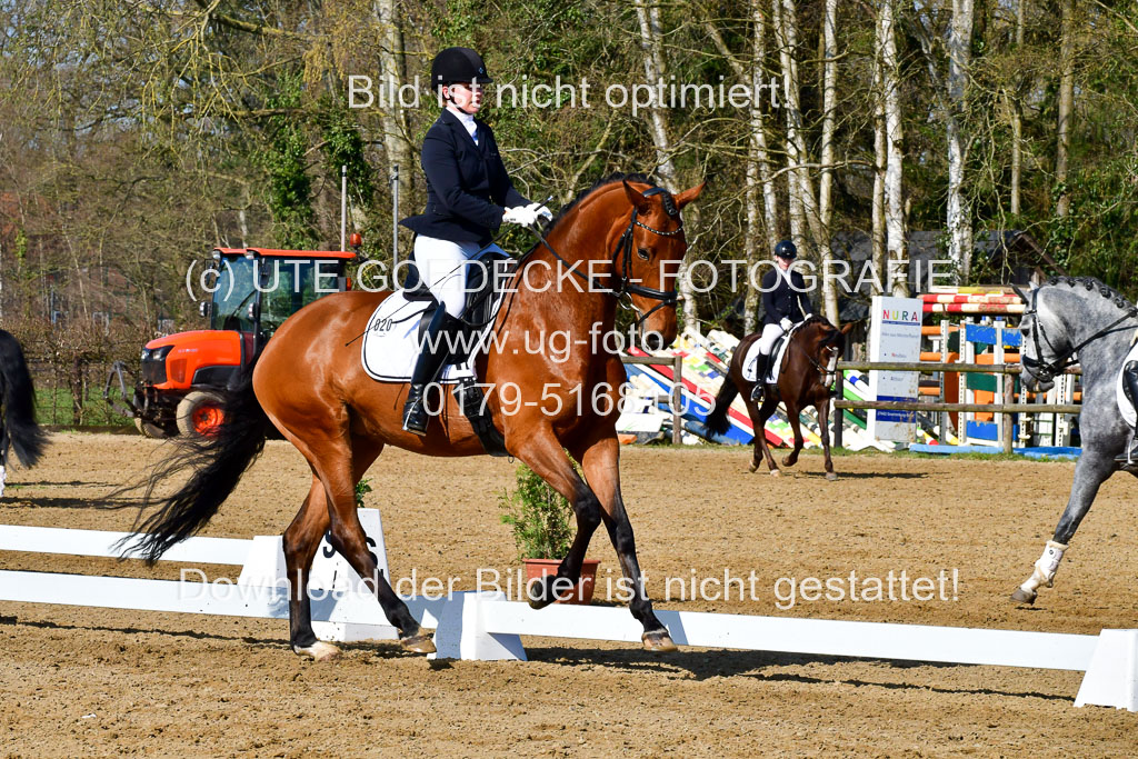 Reitsportzentrum Bremervörde | 160421 Dressurpf A_094