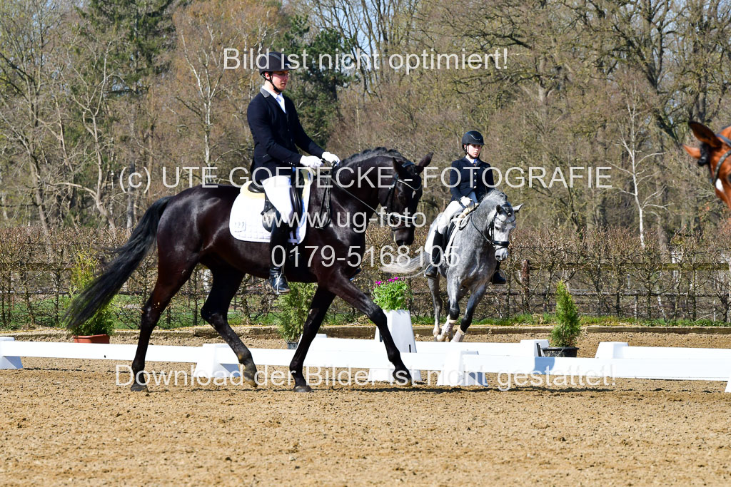 Reitsportzentrum Bremervörde | 160421 Dressurpf A_164