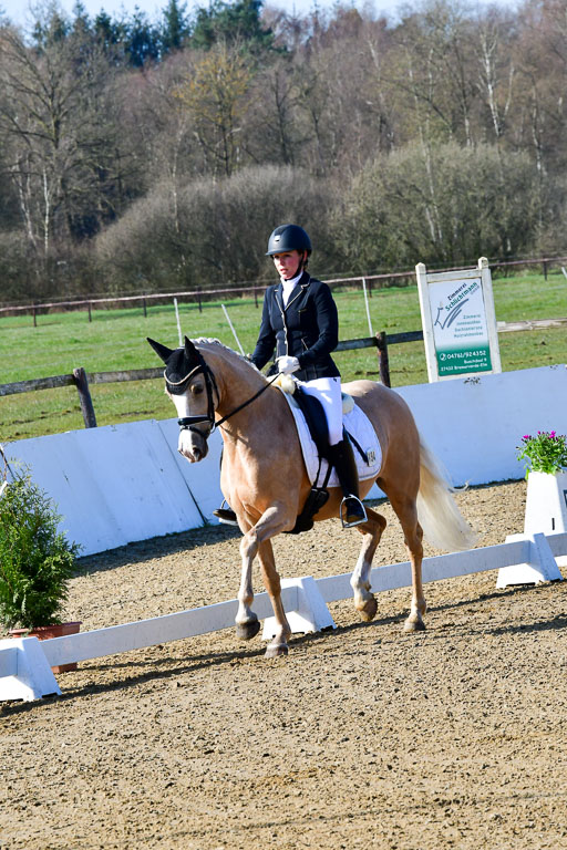 Reitsportzentrum Bremervörde | 160421 Dressurpf A 