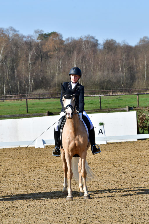 Reitsportzentrum Bremervörde | 160421 Dressurpf A_001 